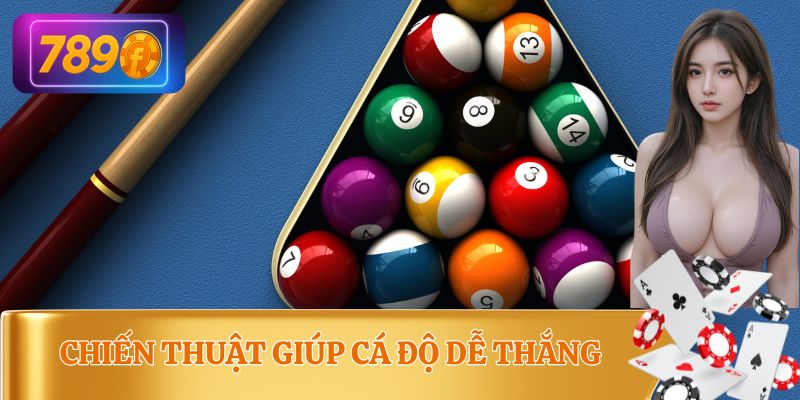 Chia sẻ 3 bí quyết ăn cá độ bida từ lần đầu tiên
